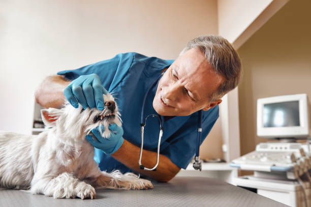Best Broken Tooth Emergency  in North Olmsted, OH